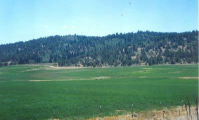 Irrigation equipment included